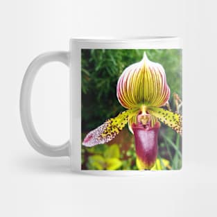 Purple and Yellow Orchid Mug